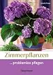 billige zimmerpflanzen