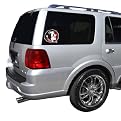 In Concept Florida State Window Logo Sticker - 13 x 13"