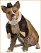 Pets Indiana Jones Costumes
