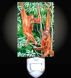 Jungle Orangutans Decorative Night Light