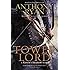 Tower Lord (A Raven's Shadow Novel)