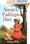 Across the Puddingstone Dam (Little House)