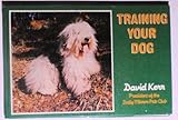 Training your dog