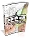 Internet Entrepreneurship - Survival Guide