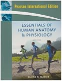 Essentials of Human Anatomy and Physiology