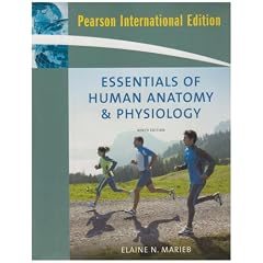 Essentials of Human Anatomy and Physiology