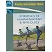 Essentials of Human Anatomy and Physiology