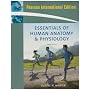 Essentials of Human Anatomy and Physiology