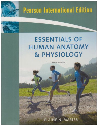 Essentials of Human Anatomy and Physiology