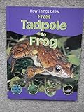 From tadpole to frog