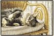 Cat All Thumbs Sue Ellen Ross Indoor/Outdoor Doormat