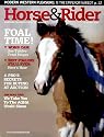 Horse & Rider