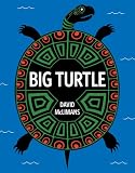 Big Turtle