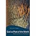 Image: Shopper's Delight: Systematic in The Books Store ~ God As Poet Of The World: Exploring Process Theologies