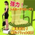 ���i�̏ڍ�