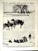 1914-15 WORLD WAR GALICIAN CHURCH COSSACKS PONIES