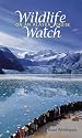 Wildlife Watch on an Alaska Cruise
