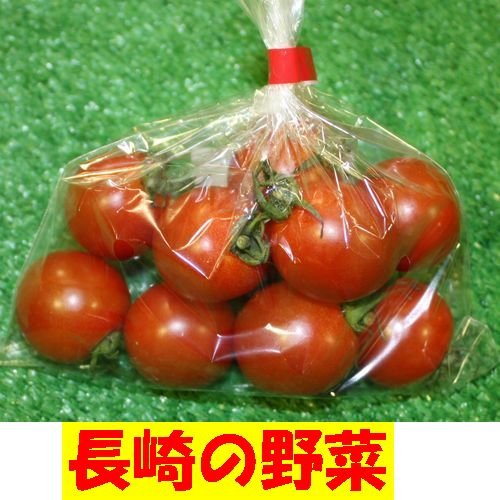 九州　長崎県産　農産物直売所　販売用　畑で完熟したミニトマト