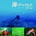 海のトワイライトゾーン