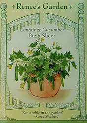 Cucumber Container Seeds Burpless Bush Slicer 18 Seeds