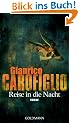 Reise in die Nacht: Roman