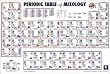 (24x36) Periodic Table of Mixology Reference Guide Art Poster Print
