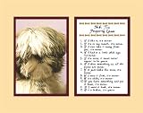 Shih Tzu Property Laws Wall Decor Pet Saying Dog Saying Shih Tzu Saying