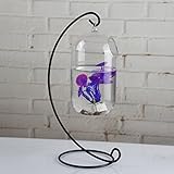 【ノーブランド品】ぶら下げ　ガラス　花瓶　ボトル　水耕　テラリウム　コンテナ　家　装飾