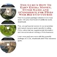 The Guru's How To Earn Extra Money, Inner Game and eCommerce for PDAs Web Biz 3 CD Course