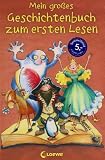 Mein gro&szlig;es Geschichtenbuch zum ersten Lesen - 