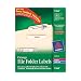 Avery® Orange File Folder Labels for Laser and Inkjet Printers with  TrueBlock(TM) Technology, 2/3 inches x 3-7/16 inches, Pack of 750 (5166)