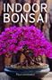 Indoor Bonsai