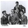 Image of The Beach Boys
