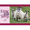 Know More Sheep (Know Your...)