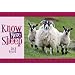 Know More Sheep (Know Your...)