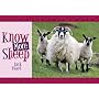 Know More Sheep (Know Your...)