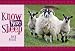Know More Sheep (Know Your...)