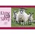 Know More Sheep (Know Your...)