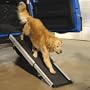 Mr. Herzher's Smart Ramp