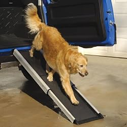 Mr. Herzher's Smart Ramp