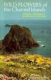 Wild flowers of the Channel Islands
