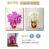 ���i�̏ڍ�