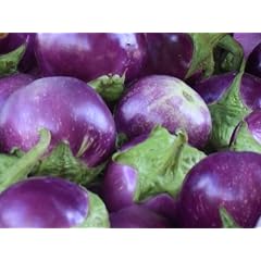 Aubergine - Eierfrucht - Violetta di Firenze - 20 Samen
