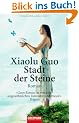 Stadt der Steine: Roman