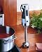 Viking Black & Stainless Hand Blender 15-in.