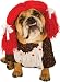 Zelda Rag Doll Dog Costume