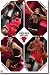 Chicago Bulls Team Wall Poster 09 22
