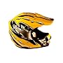 Youth Motocross ATV or Motorcycle Helmet