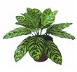 Kunstpflanze Calathea 32cm ohne Topf naturgetreu