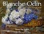 Blanche Odin : Sa technique